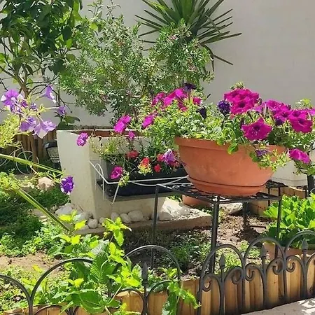 With Parking Space - 23350